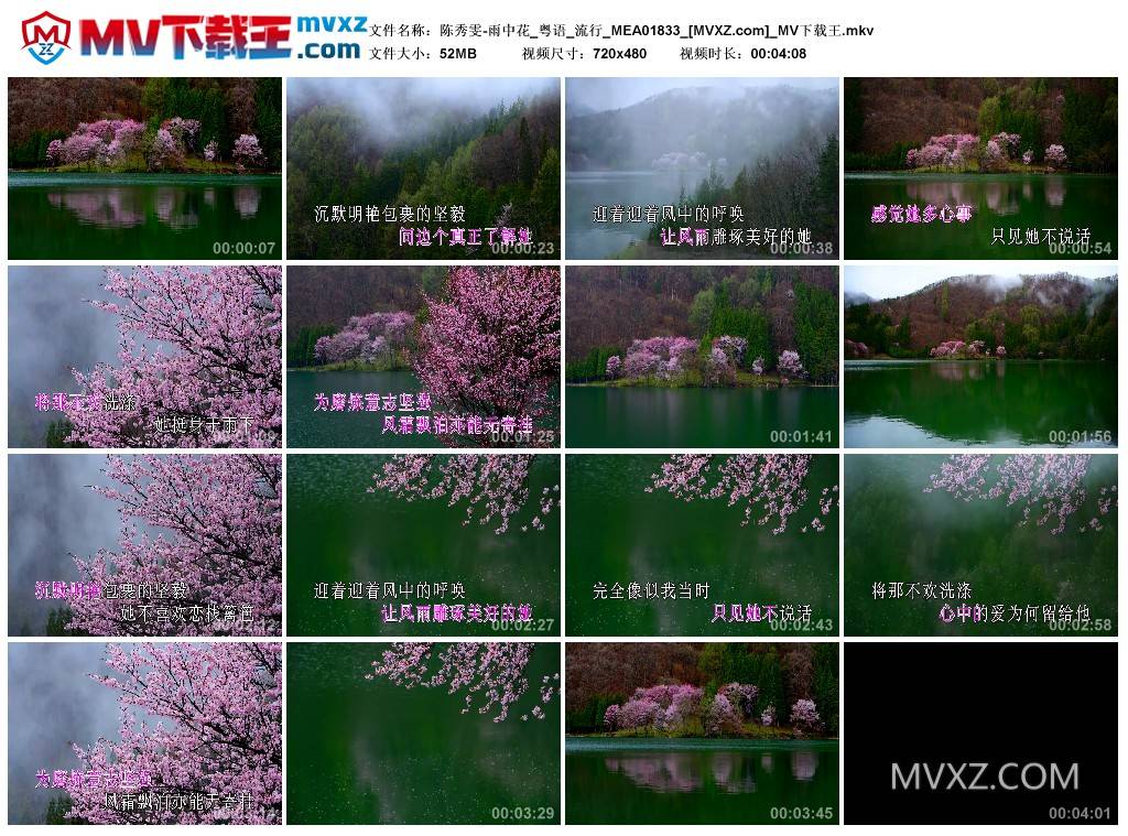 陈秀雯-雨中花_粤语_流行_MEA01833